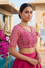 A Quiet Connection- Designer Net Blouse
